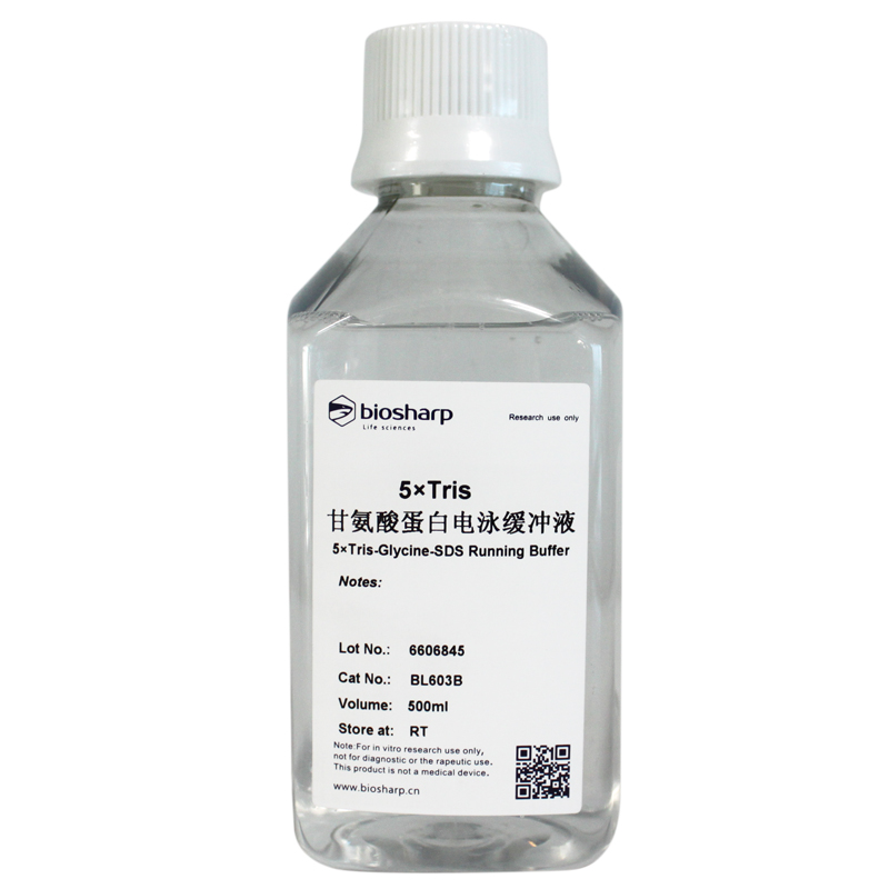 5×Tris-甘氨酸蛋白电泳缓冲液 biosharp实验室专用